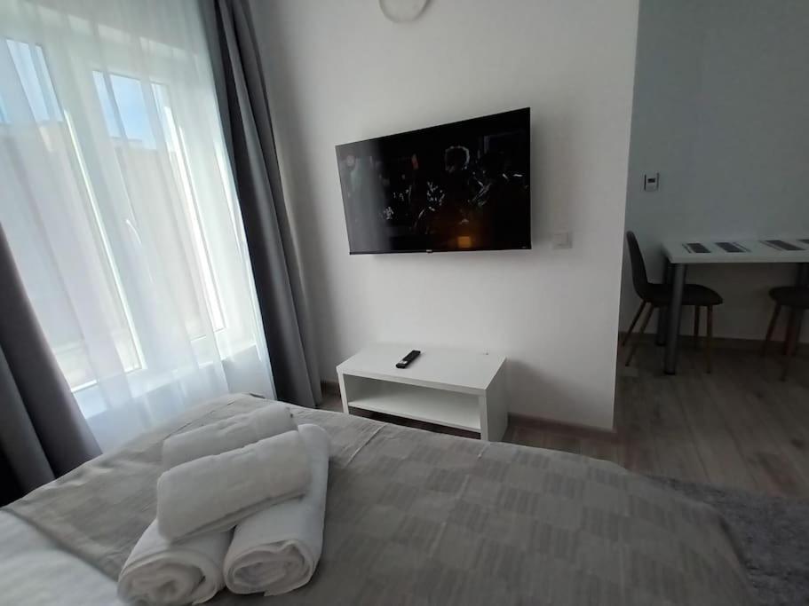 Old Town Studio 2 Apartment Nr 4 Baia Mare Exterior photo