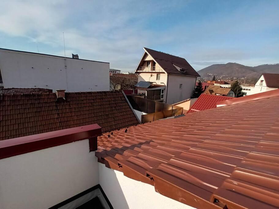 Old Town Studio 2 Apartment Nr 4 Baia Mare Exterior photo